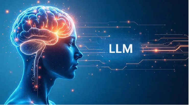 LLM